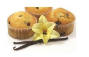 VAINILLINA CRISTALIZADA DELITE CUBO 500G