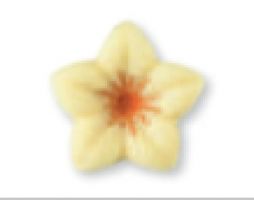 JAZMIN NARANJA -2 LAM- HILLBO (76)