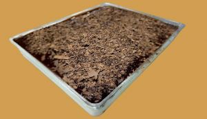 PLACA SELVA NEGRA 24R DON JOSE